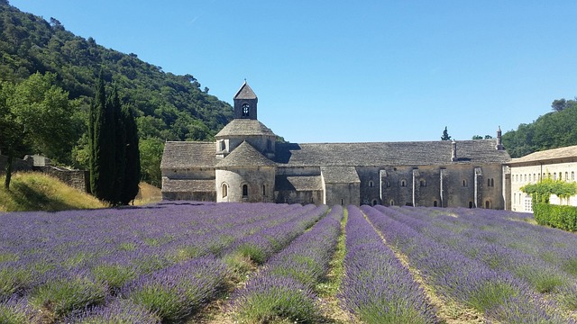 Abbaye de Sénanque